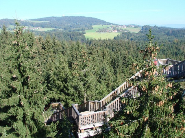 The-Worlds-Longest-Tree-Top-Walk2-640x479