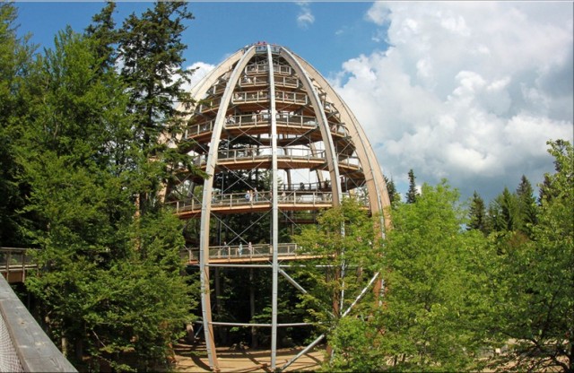 The-Worlds-Longest-Tree-Top-Walk6-640x416