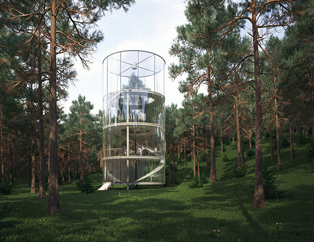 Tree-In-The-House-A-Masow-Design-Studio-Cool-Treehouse-3