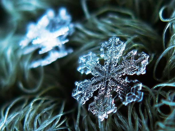 Des flocons de neige en macro par le photographe Alexey Kljatov