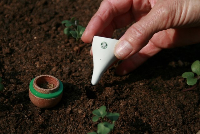 Guerilla-Gardening-Starbucks-Style31-640x429