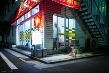 Neko-Land-Cats-in-Japan1-640x426