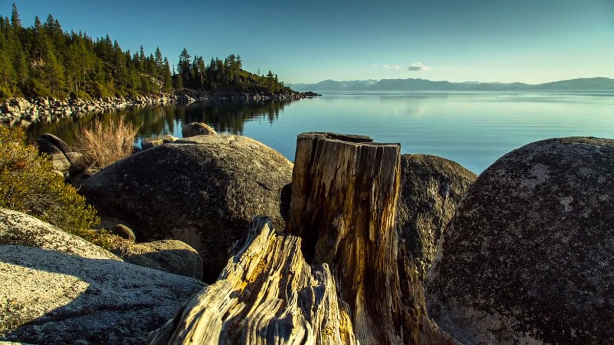 vegetation-autour-lake-tahoe