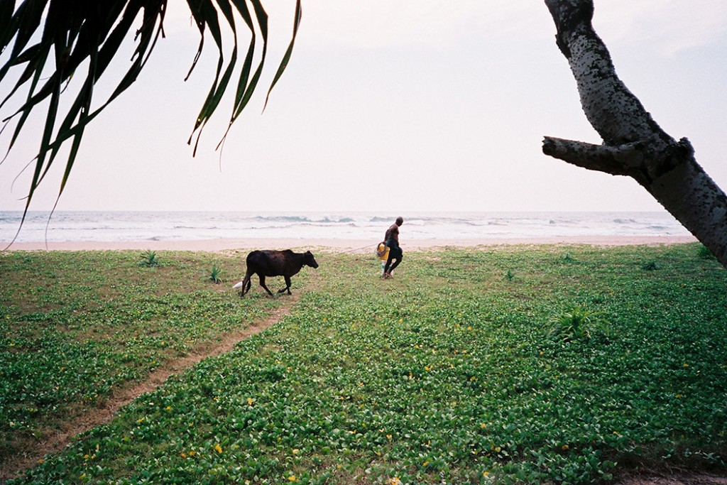 aurelien-ciller-ceylon-meditation-spanky-few