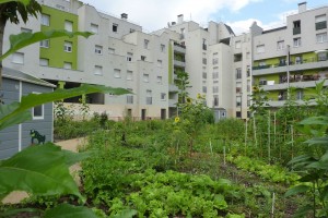Jardin-partagés-connectés-observatoire-villes-vertes-spanky-few-2