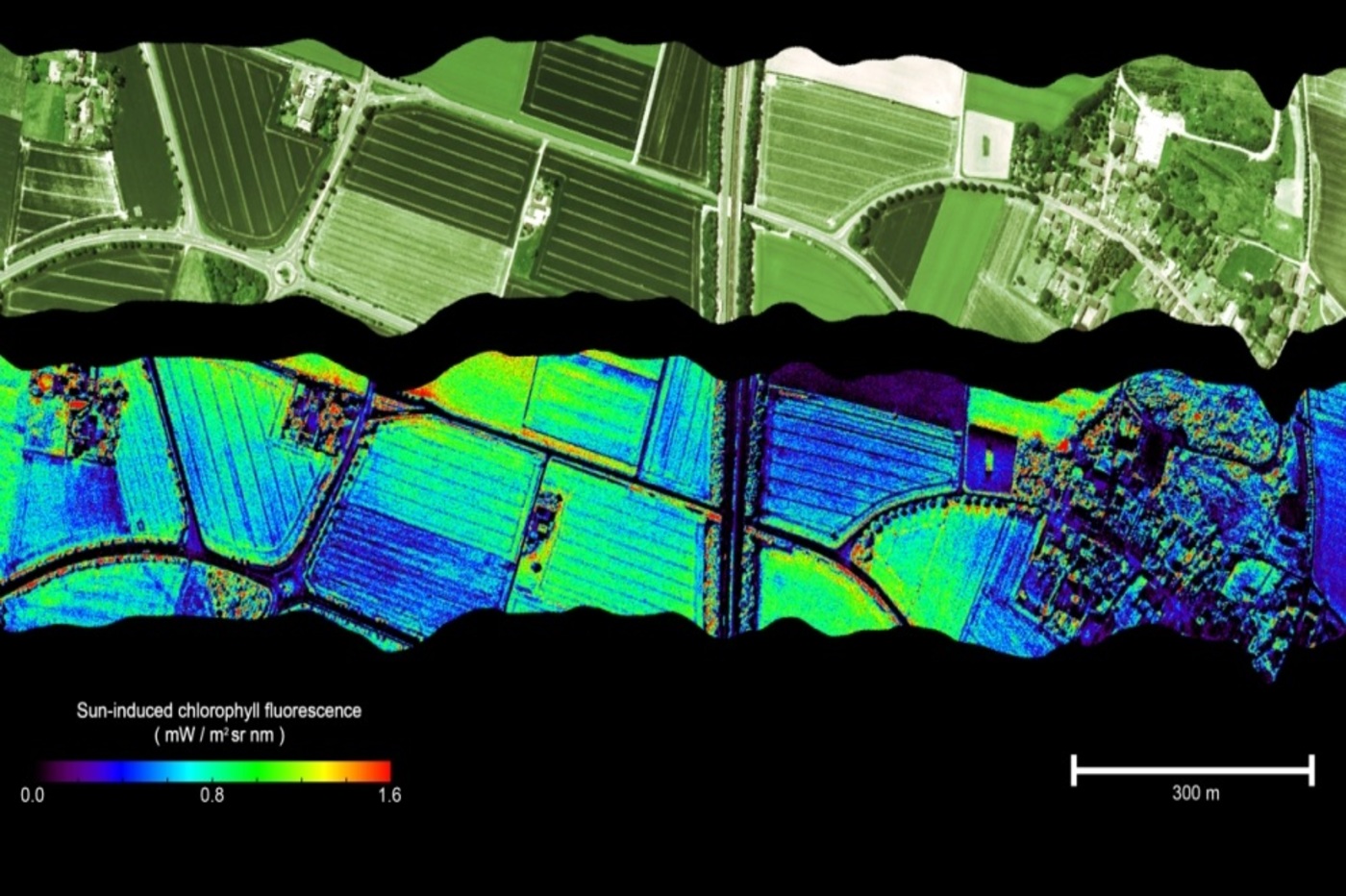 Flex, un satellite pour surveiller la santé des plantes depuis l'espace