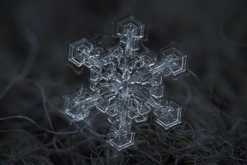 Macro-Snowflakes-Alexey-Kljatov-16