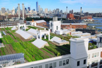 brooklyn-grange-navy-yard